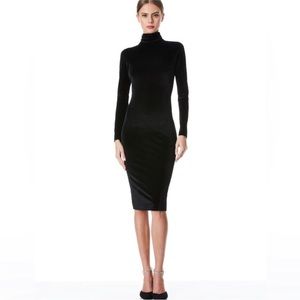 Alice + Olivia Delora Velvet Turtleneck Midi Dress